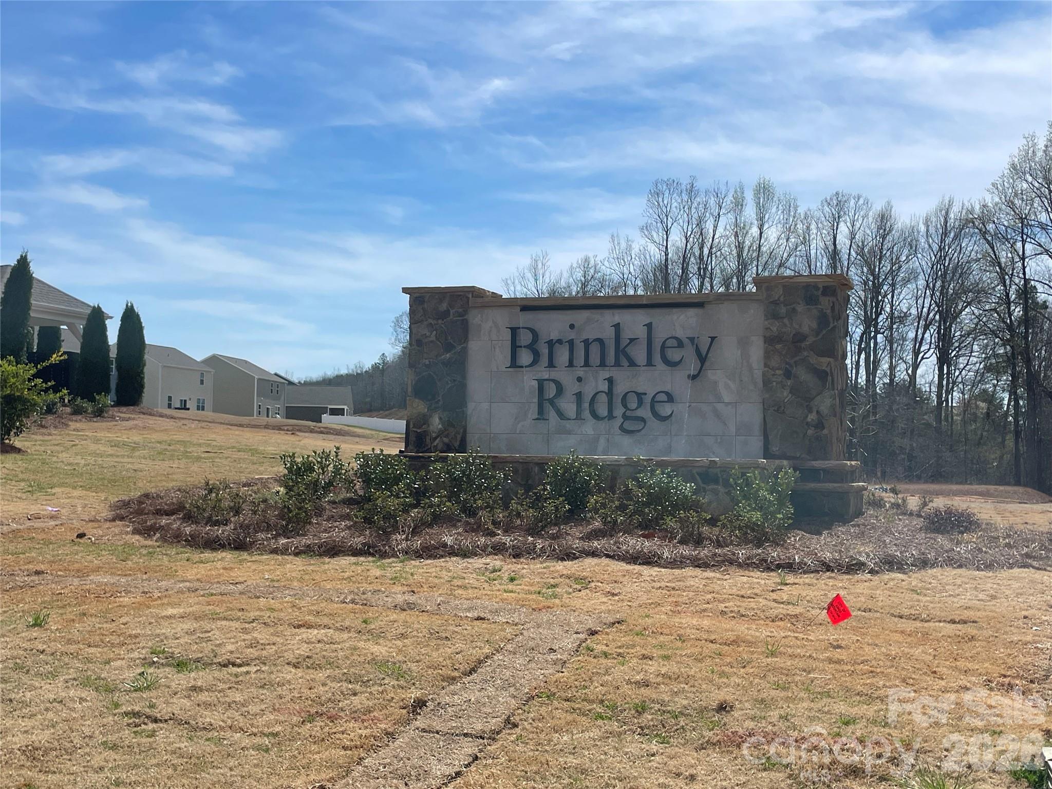 Brinkley Ridge - Residential