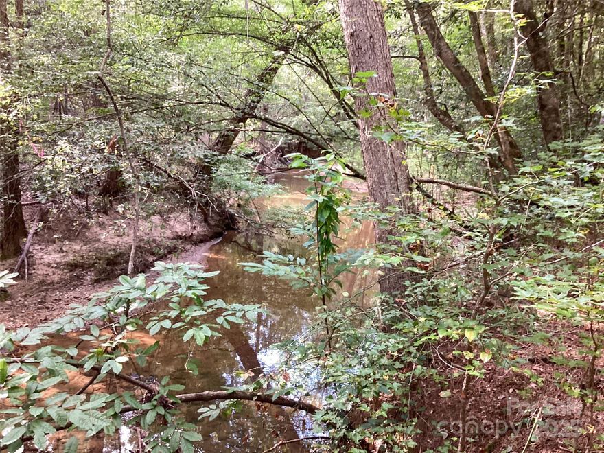 Discover 7± acres of private, creekfront property tucked within the sought-after Waterfront Club community on Lake Rhodhiss. This private tract includes 400+- feet of Stafford Creek running along the back of the property. This wide, fast-moving stream flows directly into Lake Rhodhiss, enhancing the land with both scenic beauty and natural character.
A 30-foot-wide private gravel drive leads you to a level homesite surrounded by a mixture of timber, offering a peaceful and private setting for your future build. Public water is available from Scenic Lane, and a septic system will be needed. A Survey is on file.
Limited creekfront parcels remain in this established lake community. The property is private and secluded, yet includes full access to all Waterfront Club amenities—Dockside Park and Pavillion with Community Dock, Beachfront and Pool/Pavillion, Kayak Launch, Walking Trails and two gated entrances.  Located in the Foothills of North Carolina you are a short drive to Hickory, Morganton, or Blowing Rock.
Enjoy the space, privacy, and possibilities this unique tract has to offer.