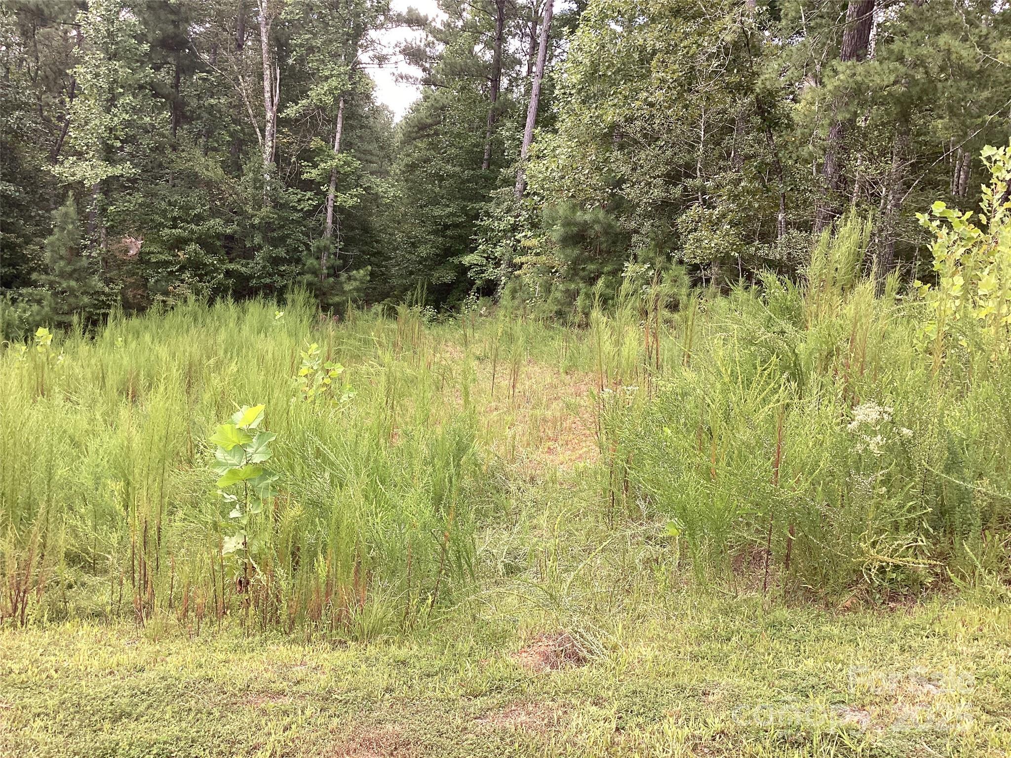 The Waterfront Club - Land