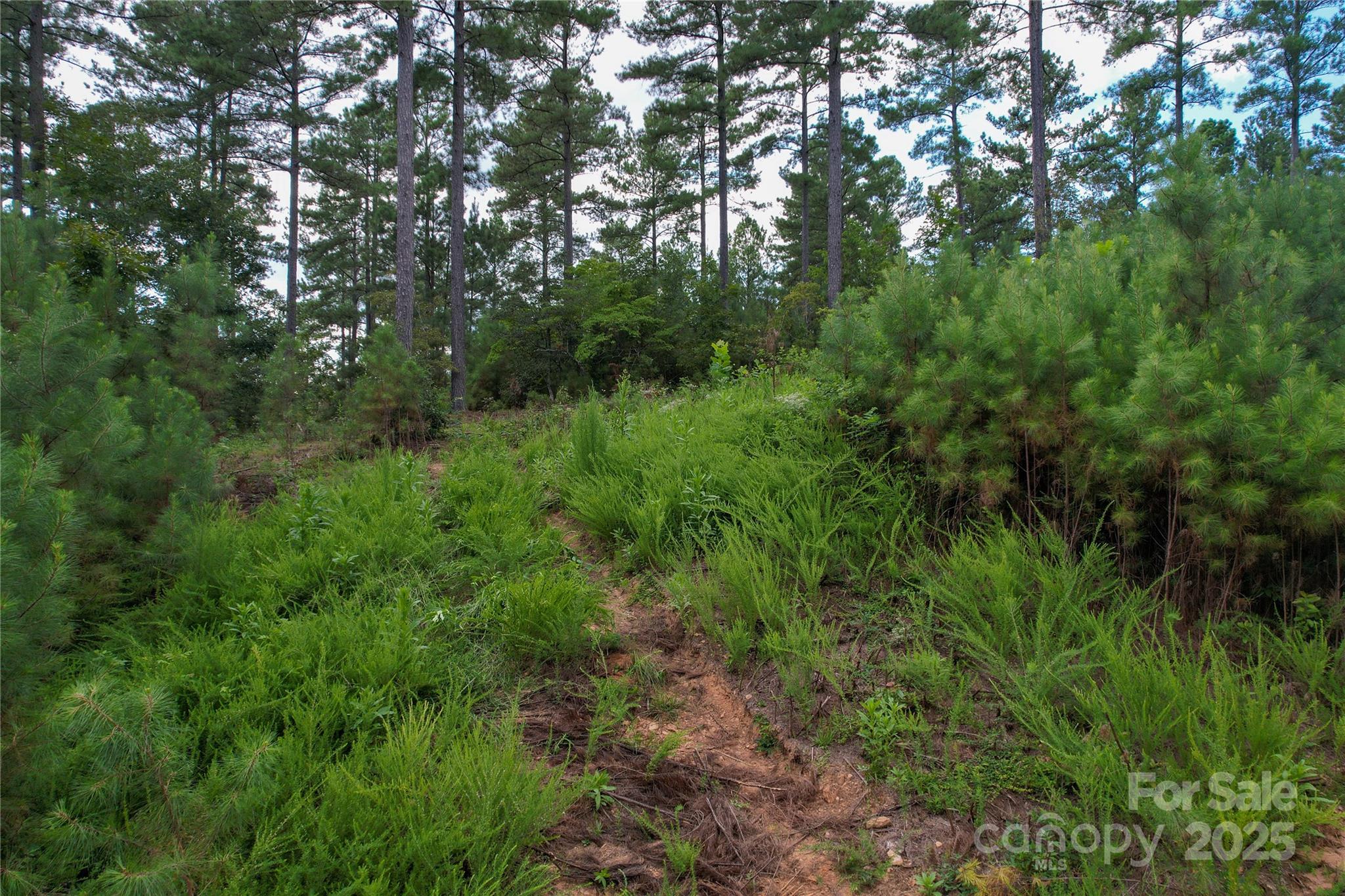 The Waterfront Club - Land