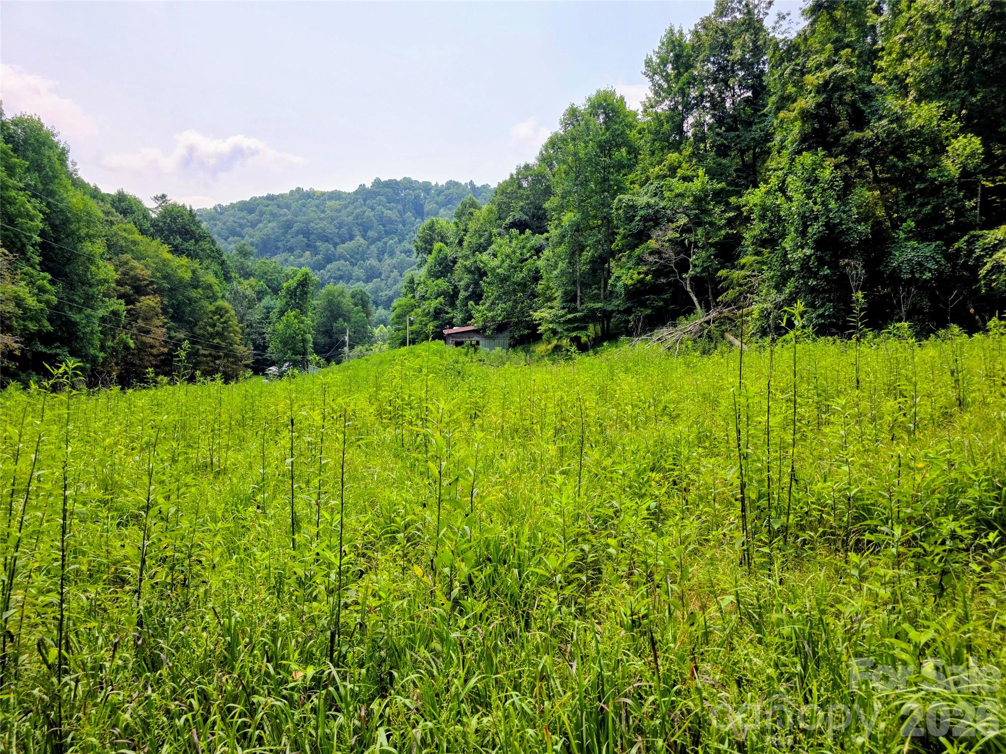 98 Will Wilson Road, Burnsville, NC, 28714