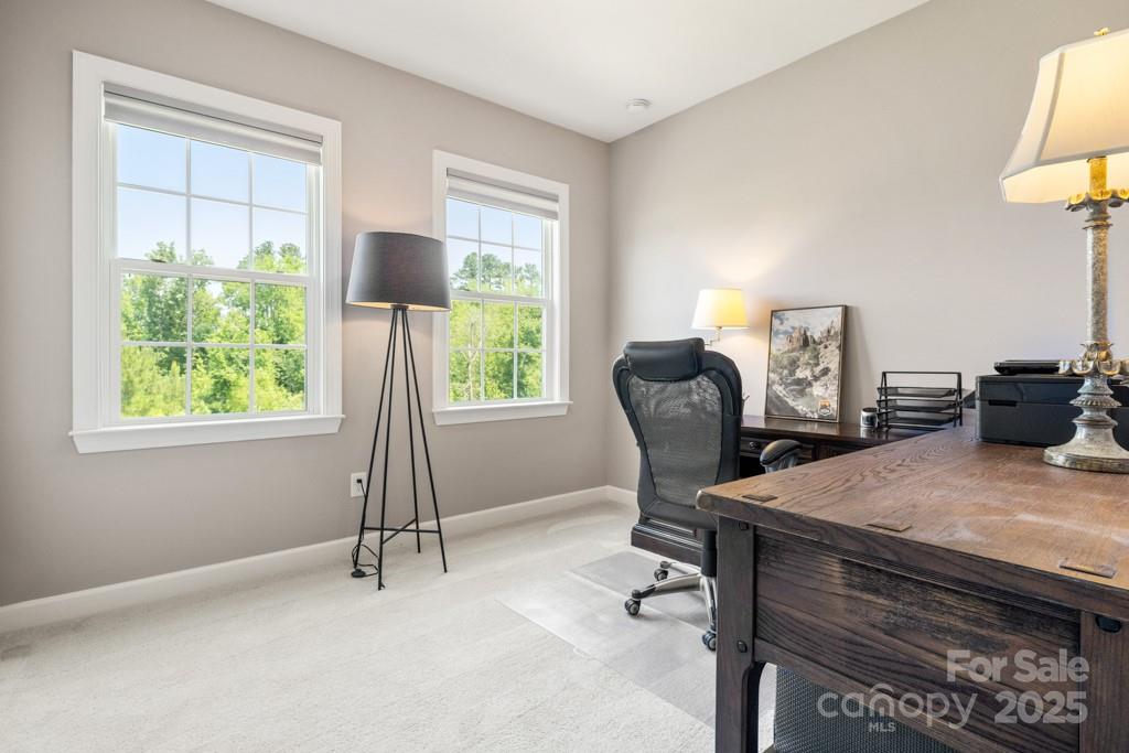 Tree Tops - Residential