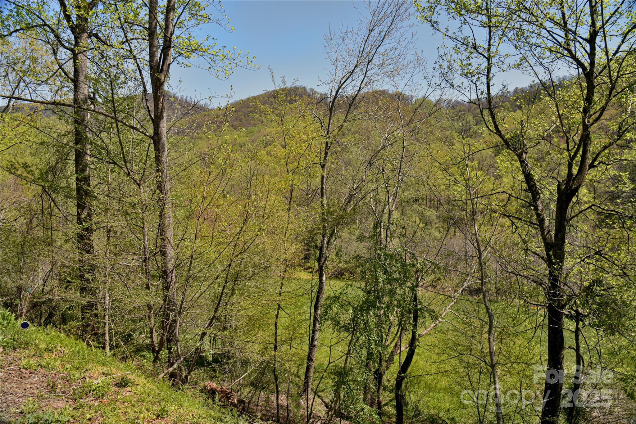 1707 Honeycutt Road