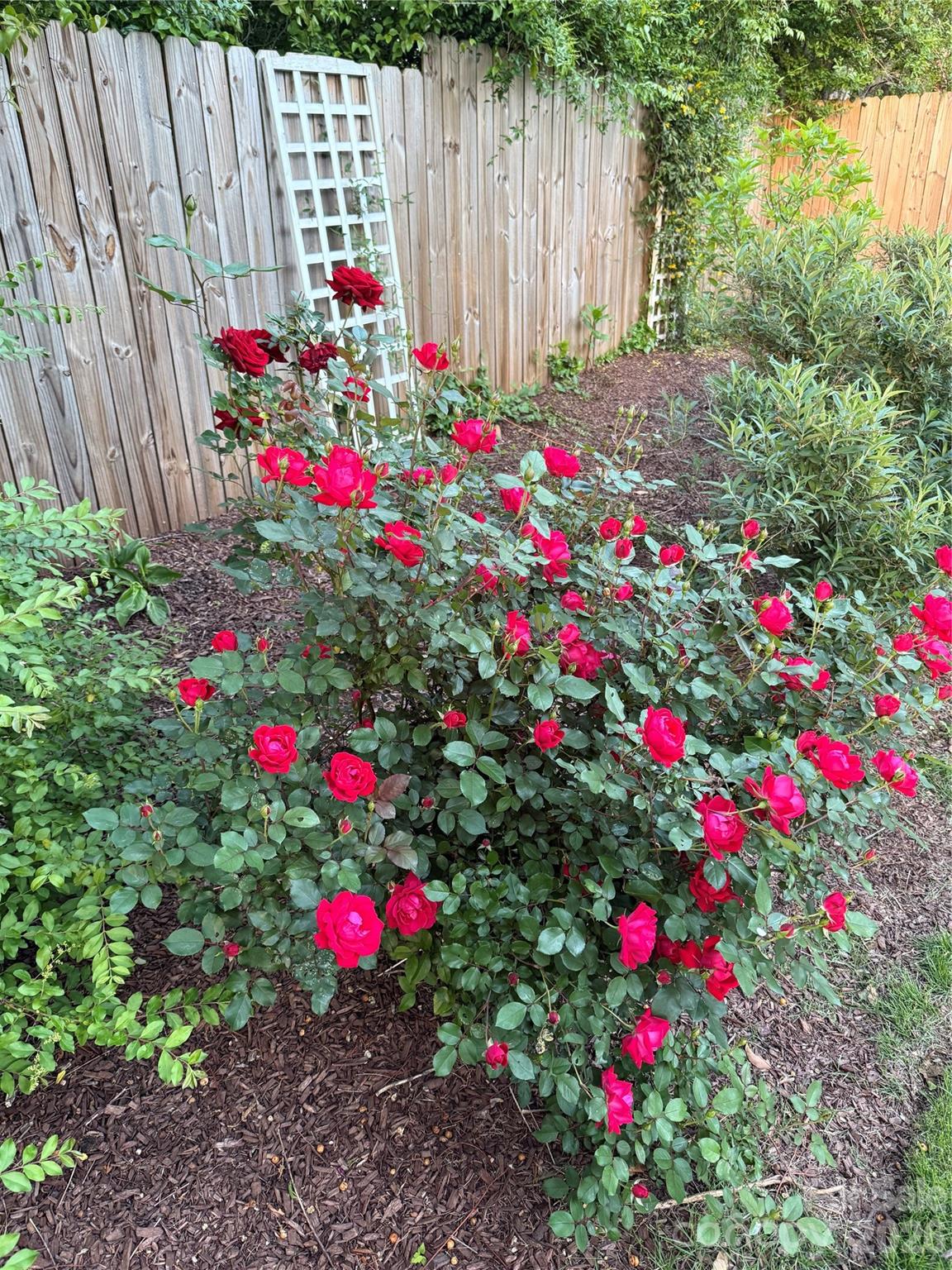 Westerly Hills - Residential