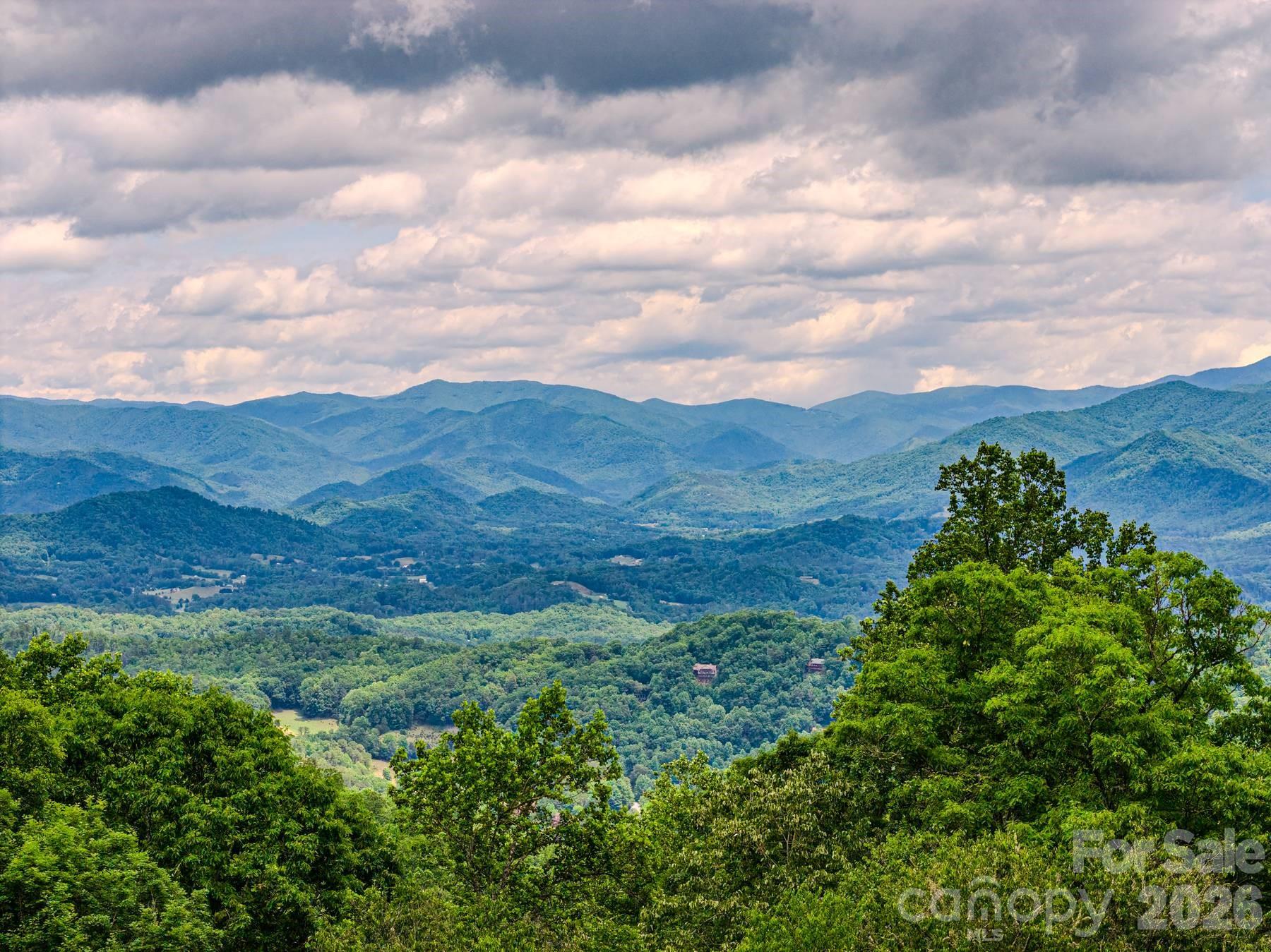 1680 Williamson Road, Whittier, NC, 28789