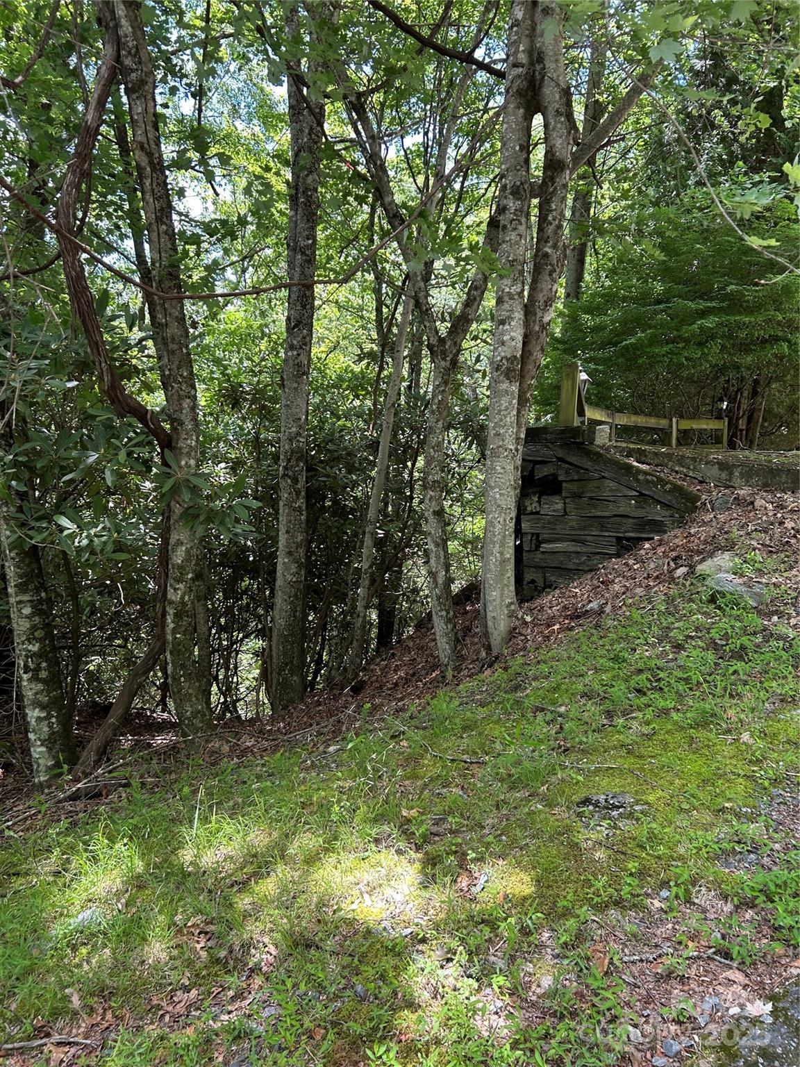 TBD Connestee Trail UO2/L406