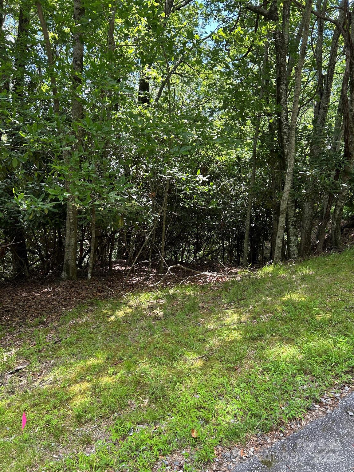 TBD Connestee Trail UO2/L406