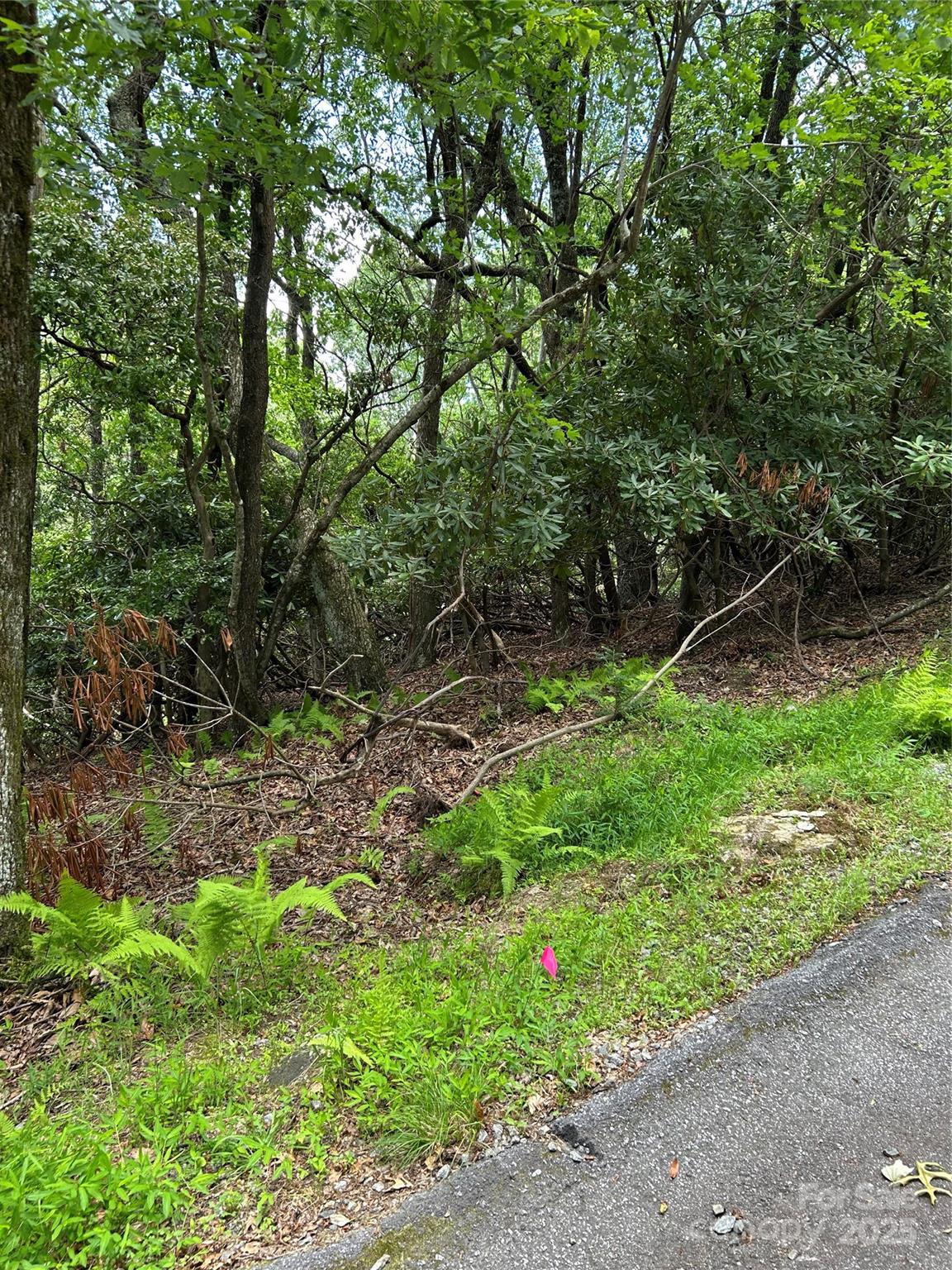 TBD Connestee Trail UO2/L406