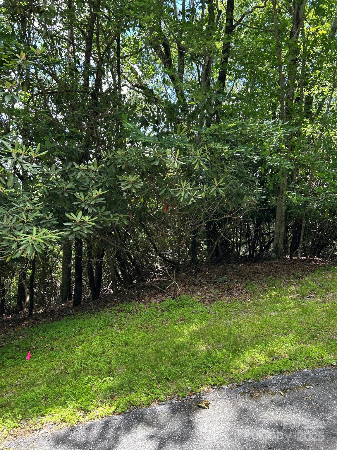 TBD Connestee Trail UO2/L406