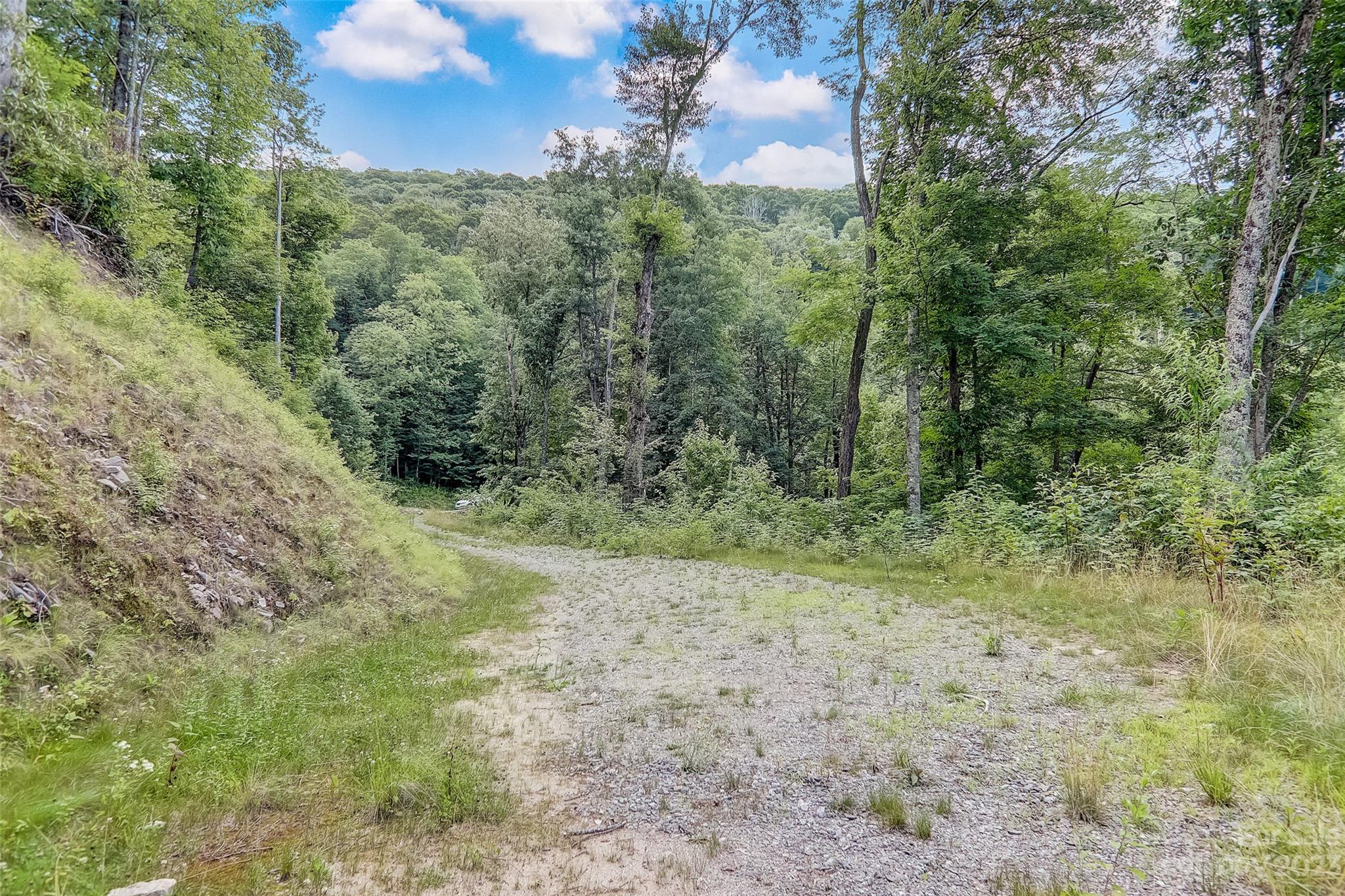 Cranberry Falls - Land