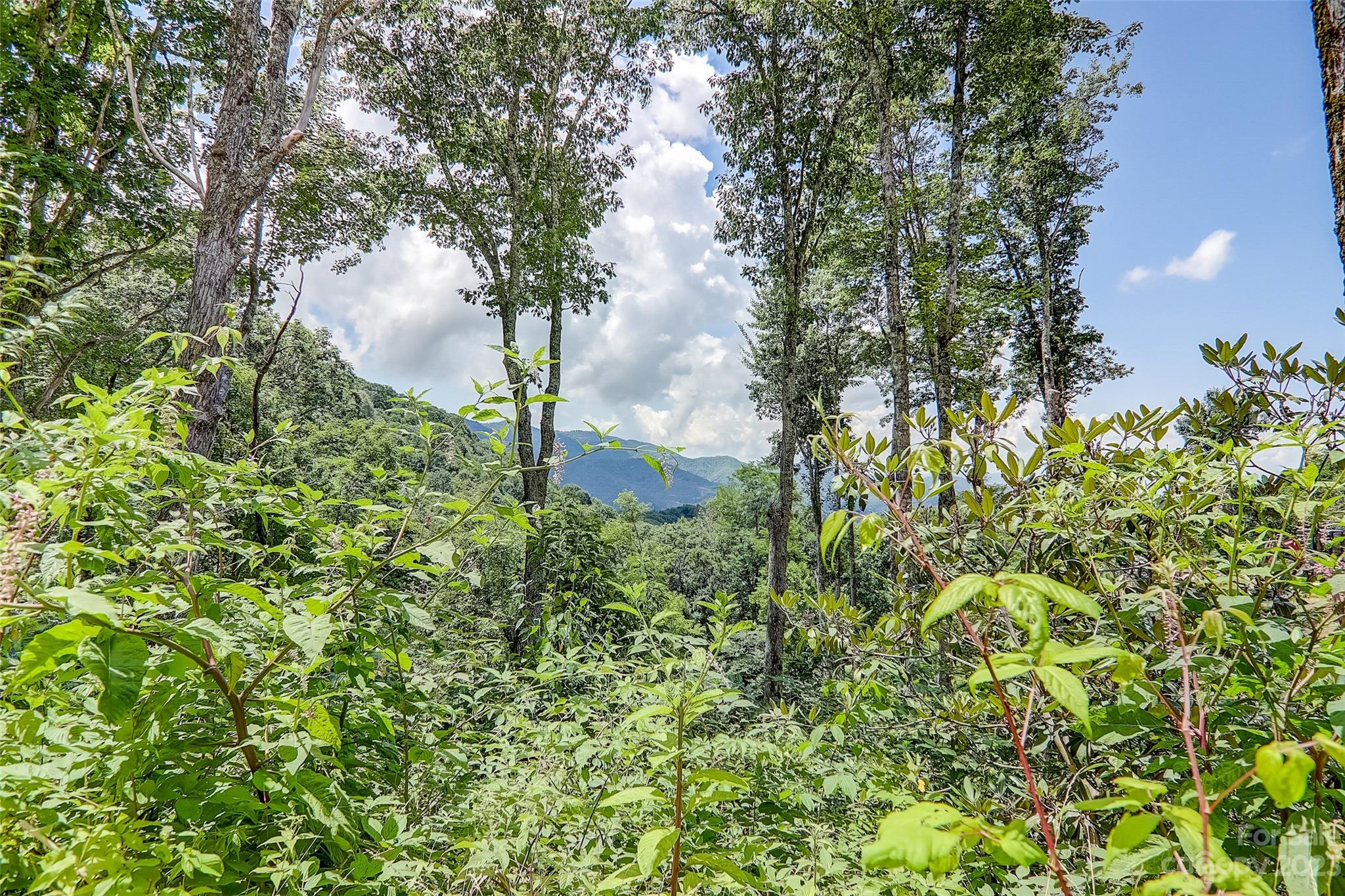 Cranberry Falls - Land