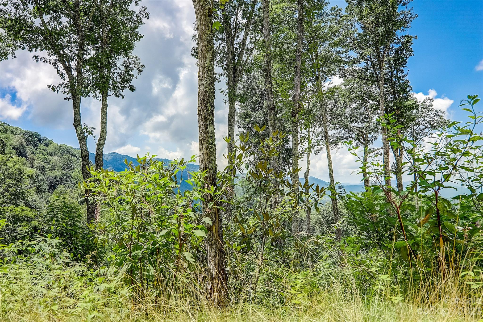 Cranberry Falls - Land