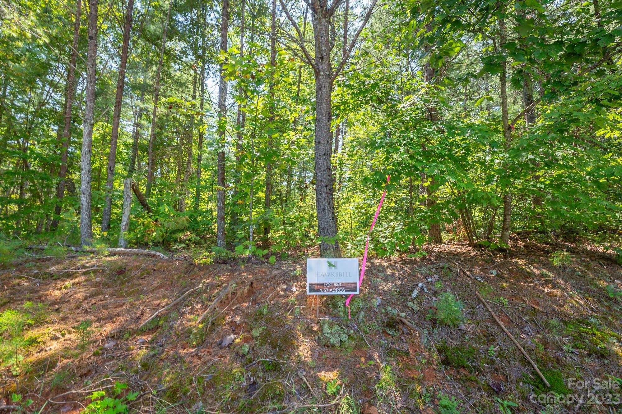 Hawksbill at Lake James - Land