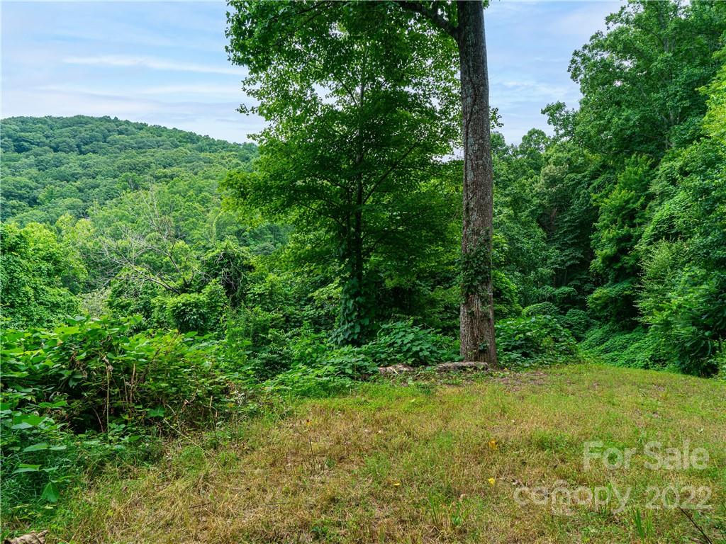 45 Flora Rose Trail