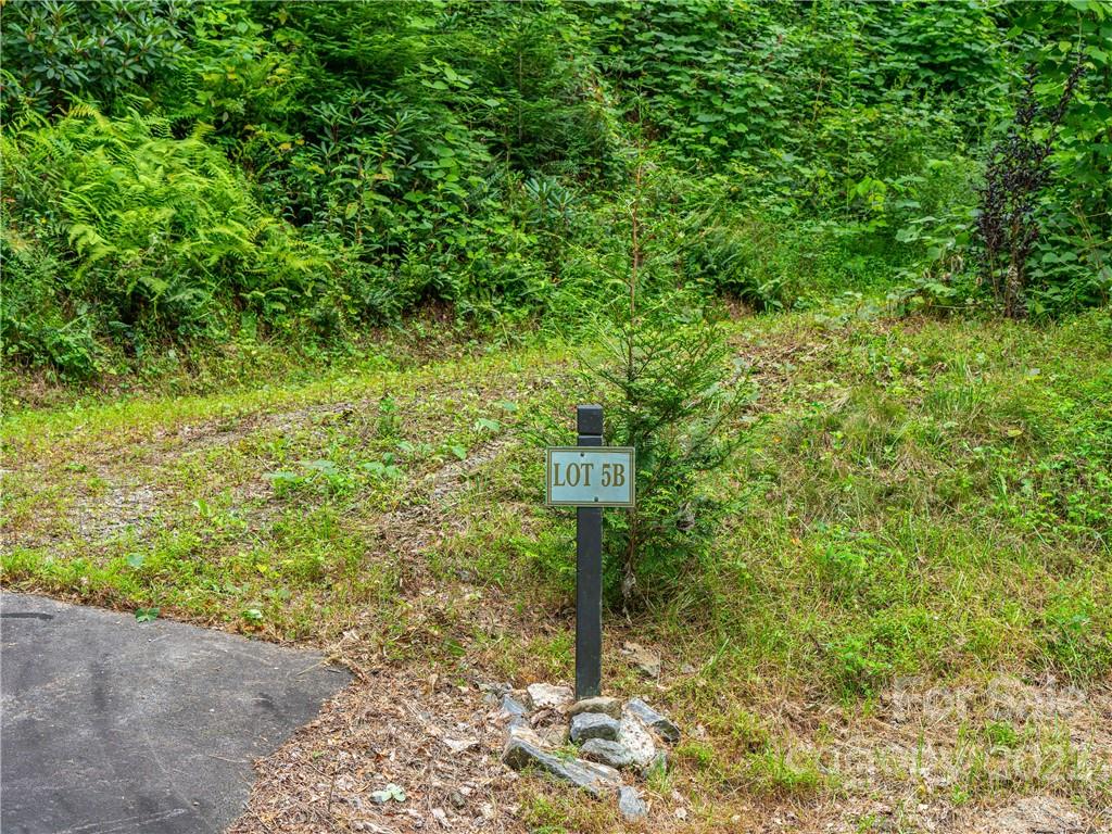 45 Flora Rose Trail