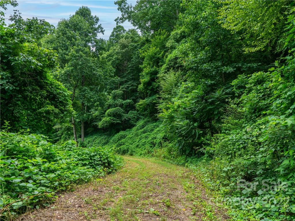 45 Flora Rose Trail