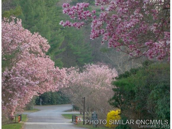 Sherwood Forest - Land