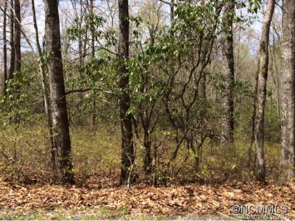 Sherwood Forest - Land