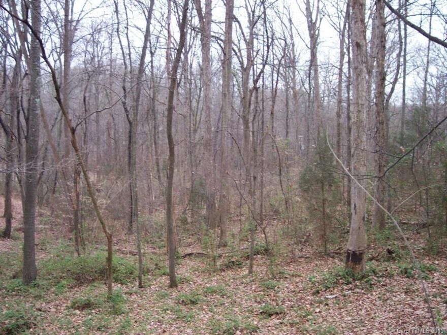 Now is a rare opportunity to build your own home in a wonderful area.  This .67 acre wooded building lot is located in Wood Forest. Established neighborhood features large lots, trees,  location. Per HOA, minimum conditioned square footage is 1900.  If the home has a second story, the minimum ground level is 1000.  Close to I-77, shopping, the lake & other amenities. 
The school district for this home is one of the more sought after.  City water and sewer is available.  Connection fees apply.