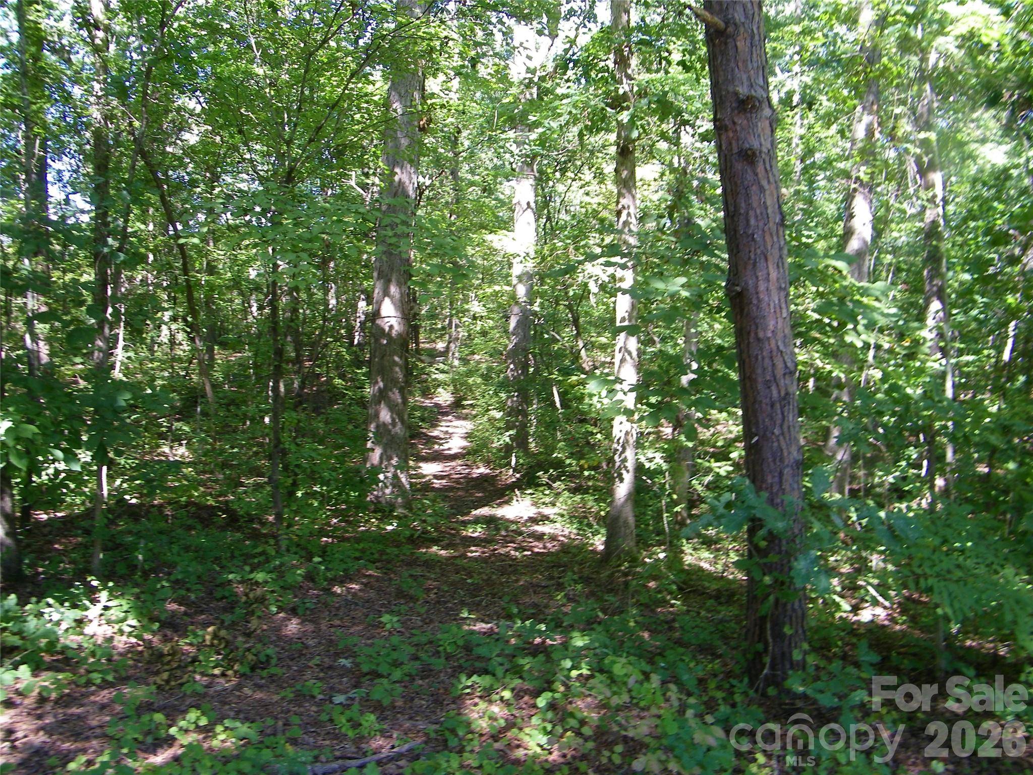 0 Chippewa Trail