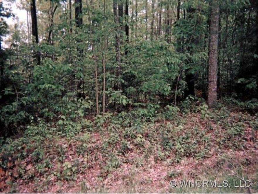 Don't miss this hidden gem just minutes from downtown Saluda! Priced for you to have summer enjoyment of fishing, canoeing, swimming on this beautiful 28 acre lake. Property is a short walking distance to the community swimming area. Easy build w/view of the lake.