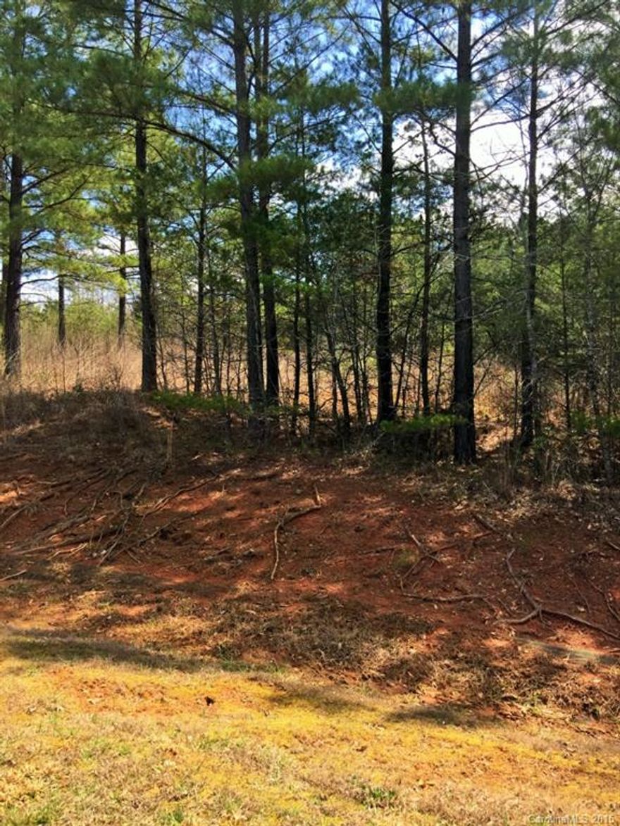 Bring your Builder and Build your Dream Home on this Fantastic 1 Acre Lot!! No City Taxes. Convenient to major highways and interstates.