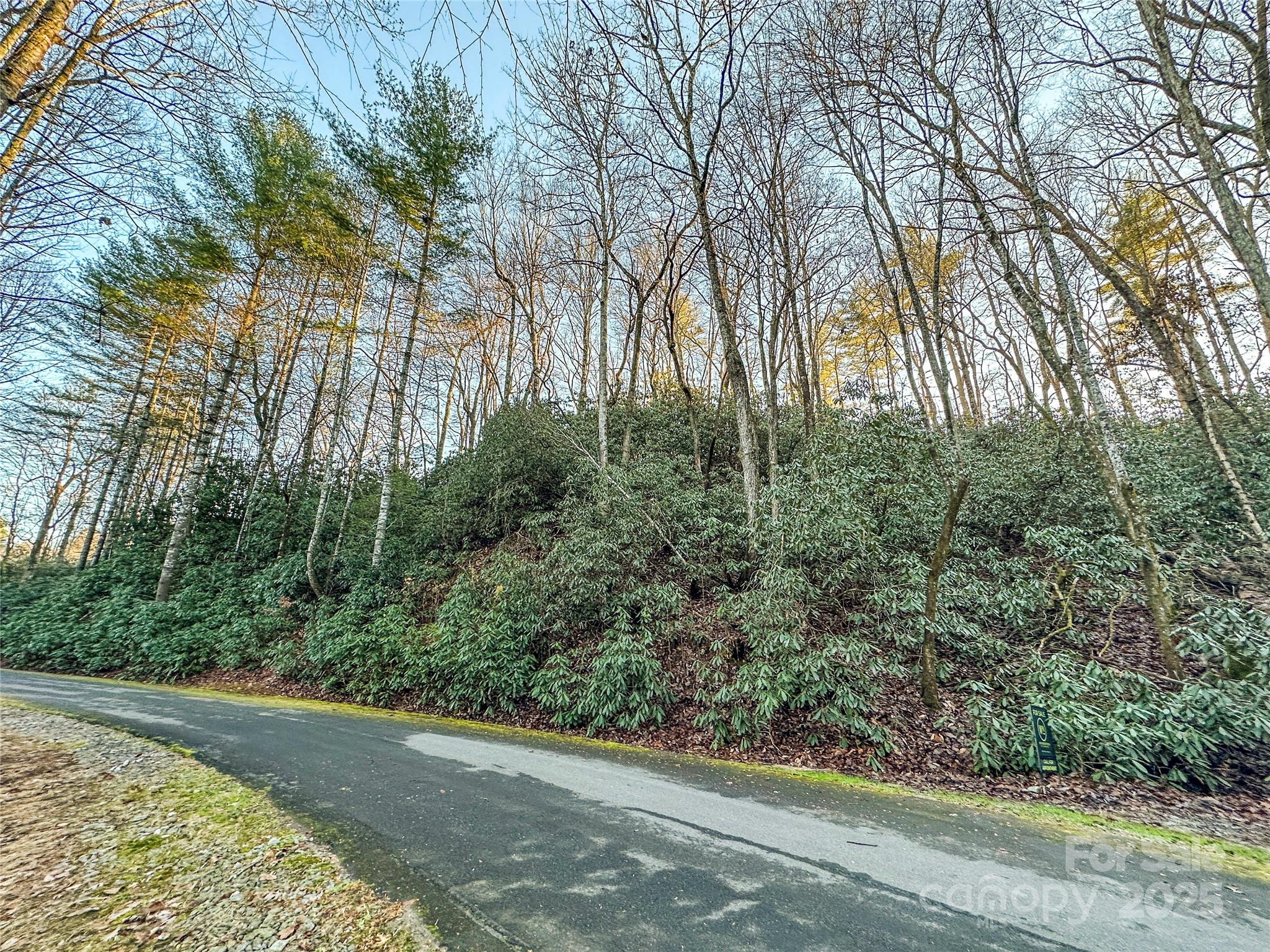 D17 Caroline Lane