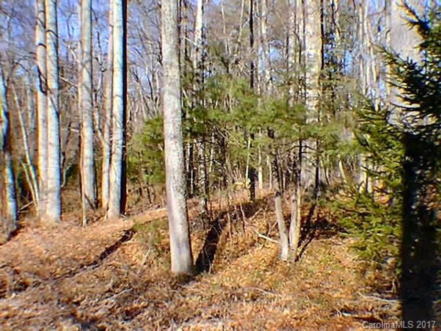 Private mountain land.  Most is steep, however there is a homesite at the top entrance. Close to NC Wildlife Management Game Lands.  One or two homesites at top entrance.  See attachments for Covenants and Deed.