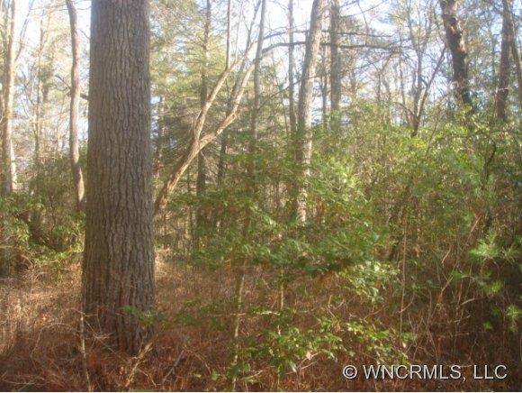 Sherwood Forest - Land