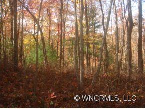 Sherwood Forest - Land