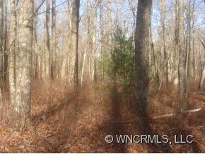 Sherwood Forest - Land