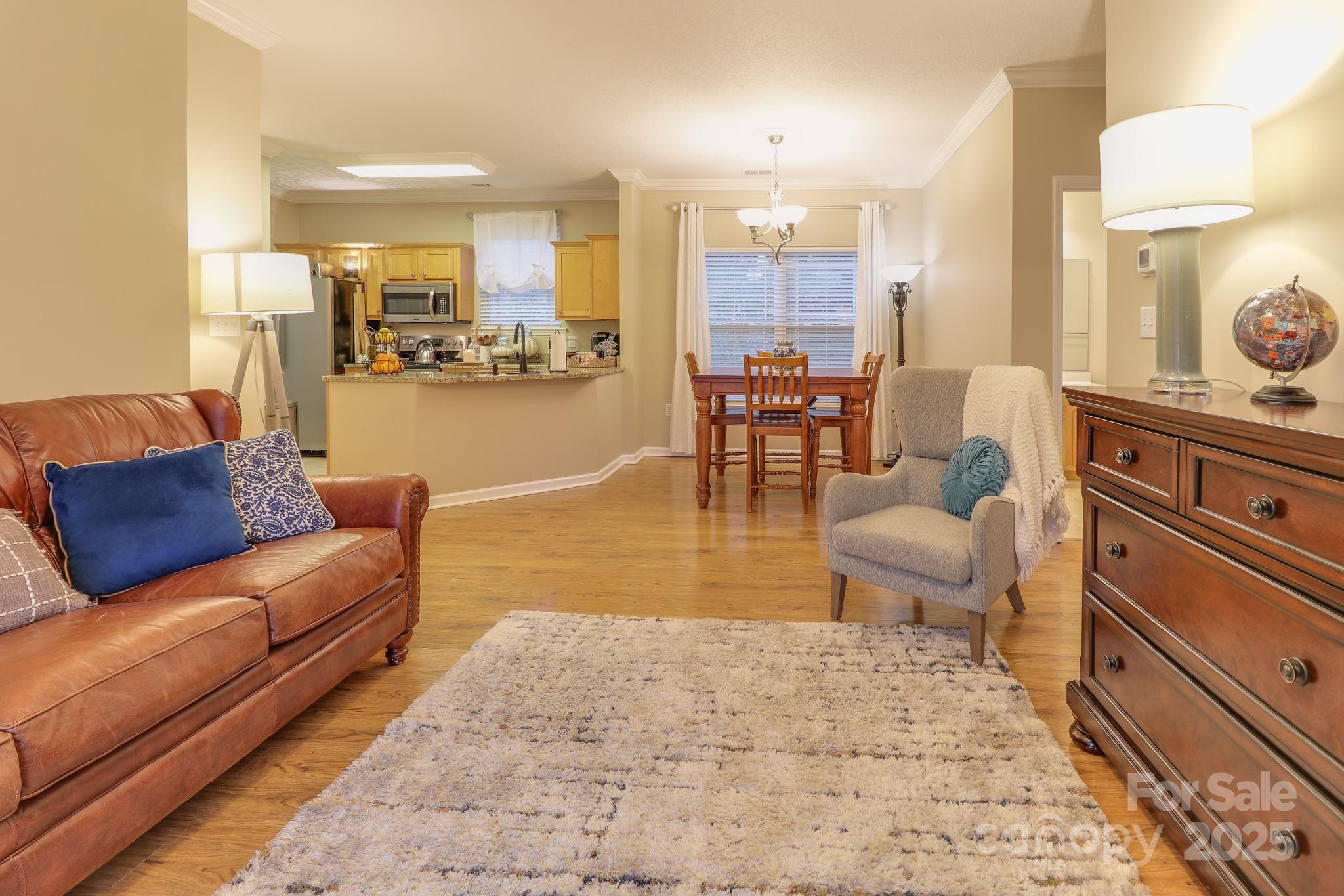 6 Northbrook Place B