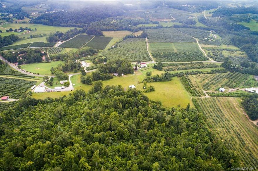 Large tract of land with home, garage, old home and outbuildings. Frontage on Old Clear Creek Road. Some pasture, stream, views.  LA available with 4-person ATV for showing.