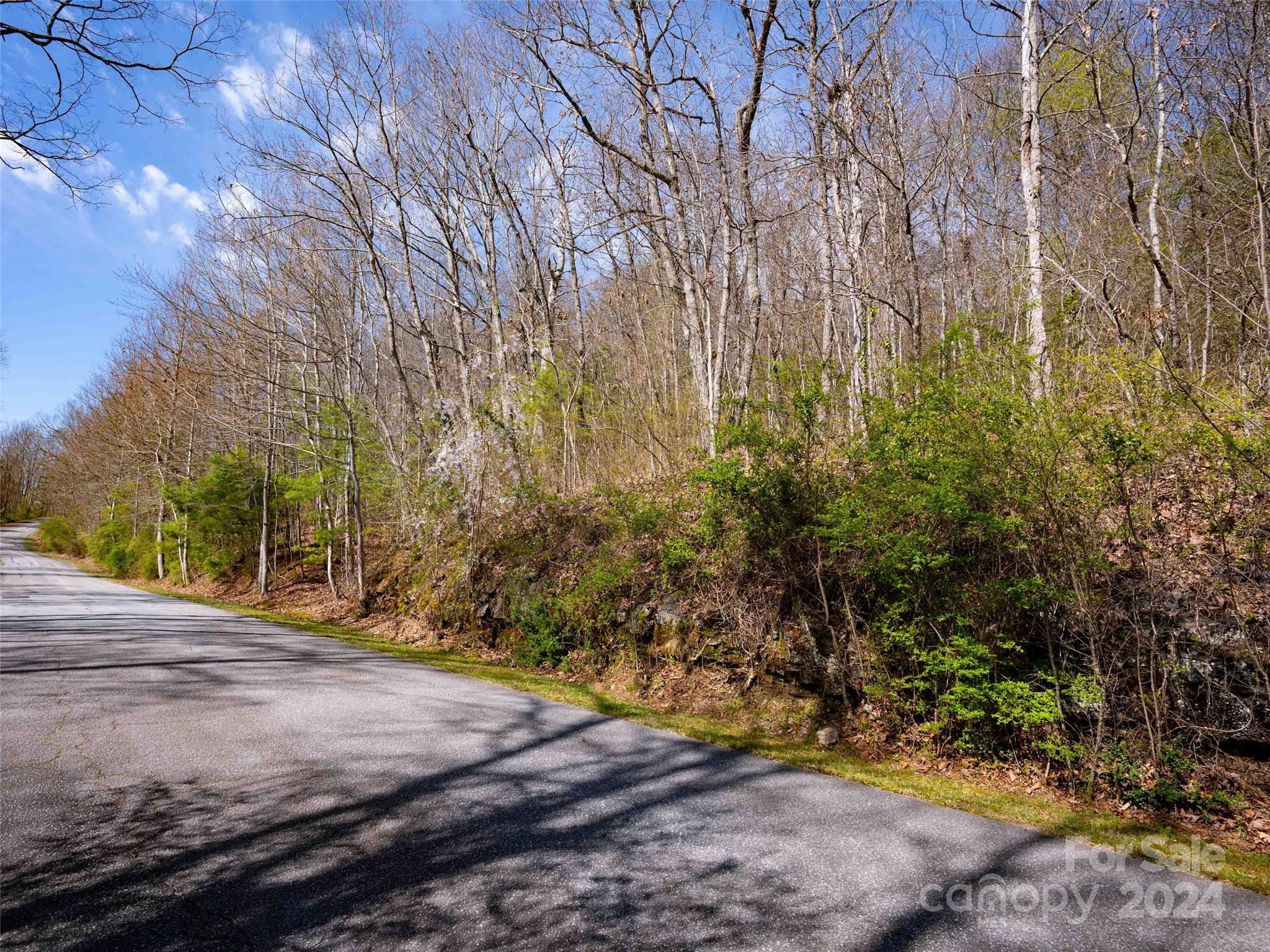 Trenholm Woods - Land