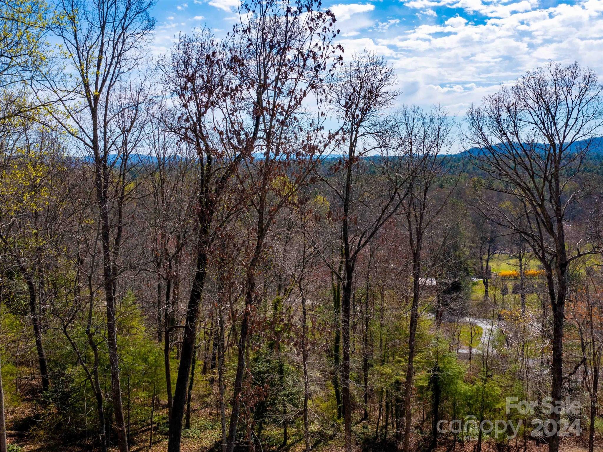 Trenholm Woods - Land