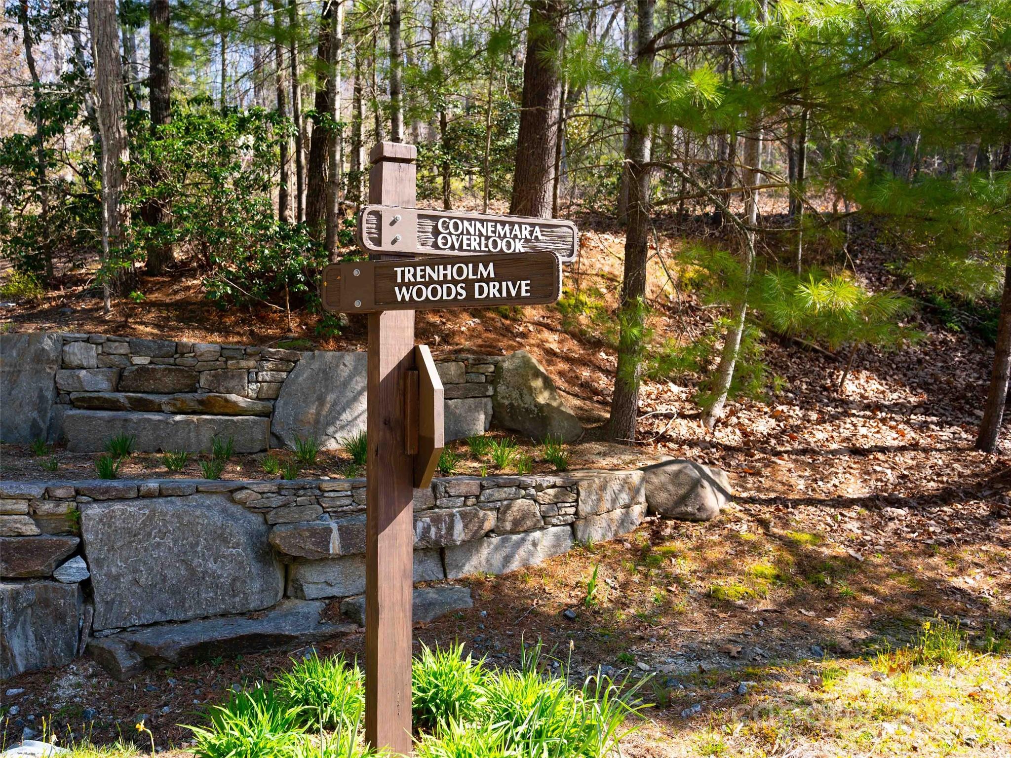 Trenholm Woods - Land