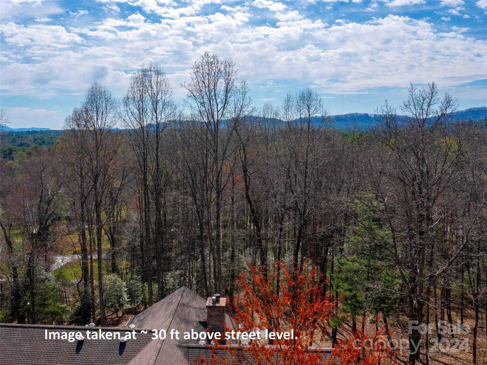 Trenholm Woods - Land