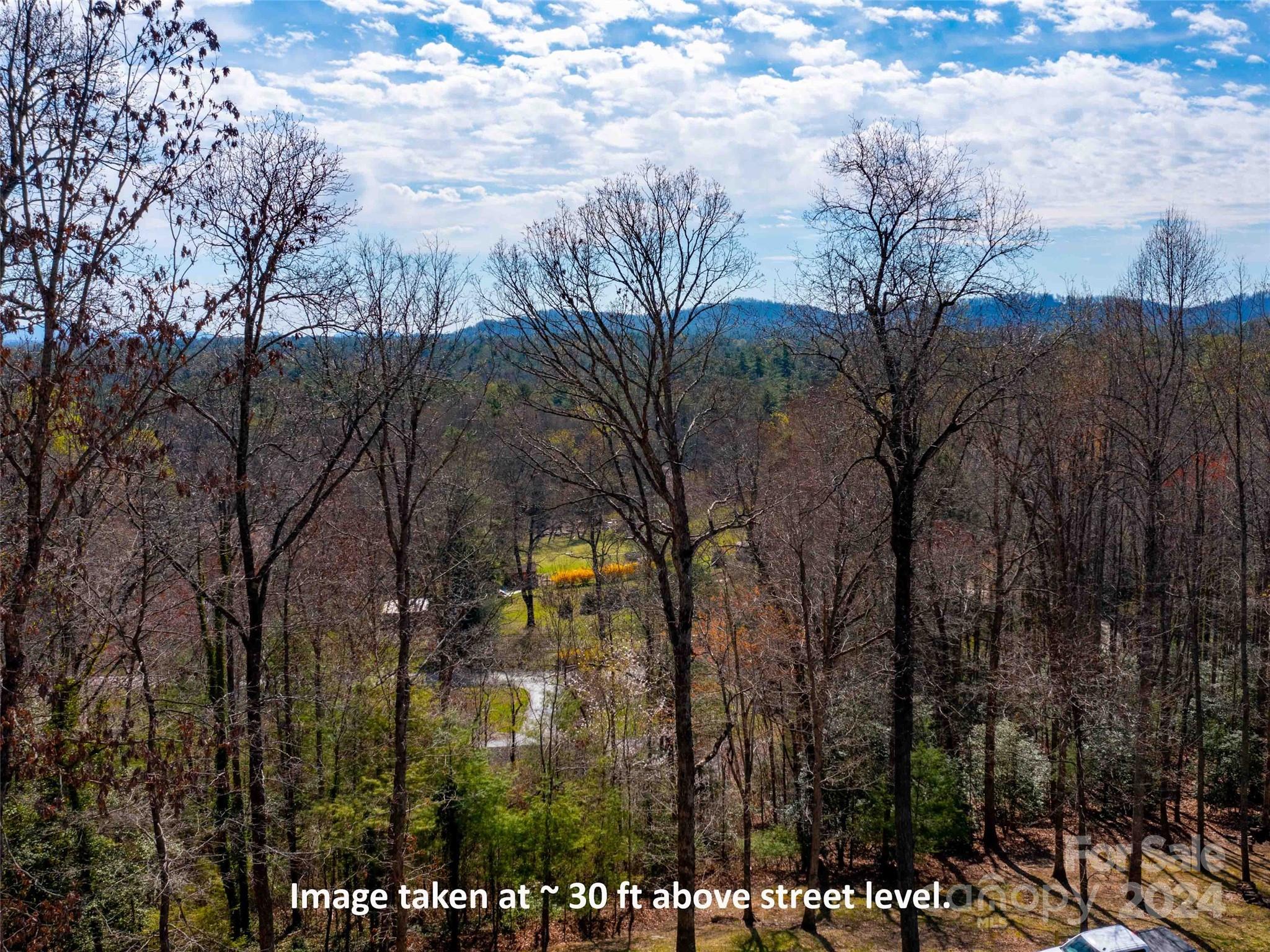 Trenholm Woods - Land