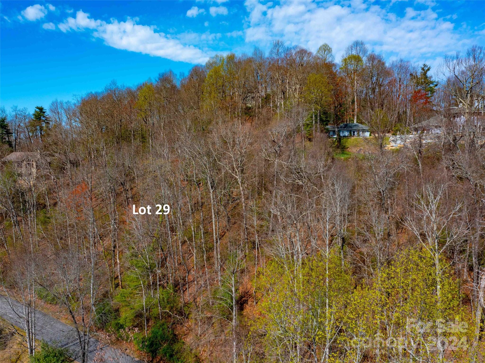 Trenholm Woods - Land