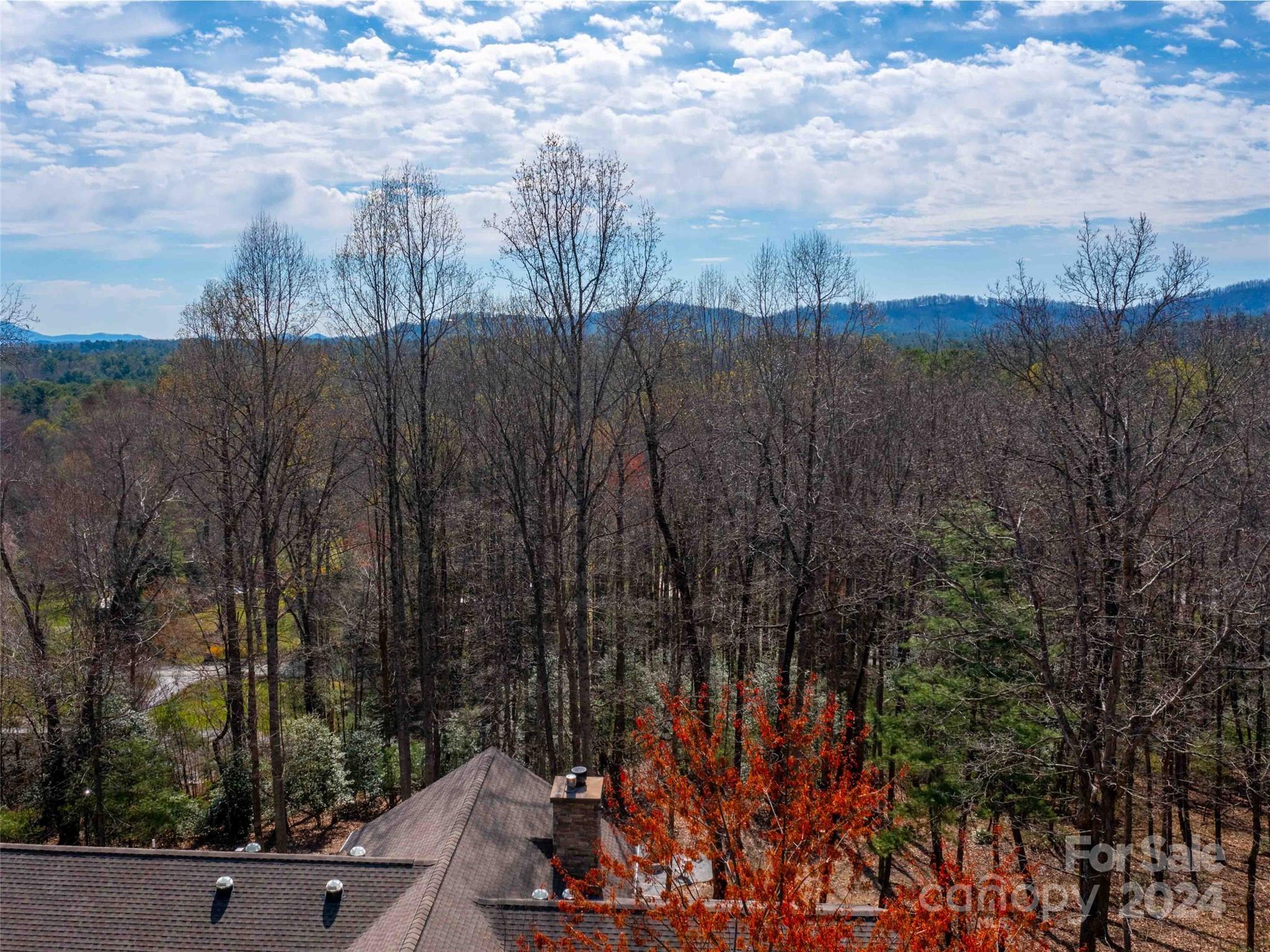 Trenholm Woods - Land