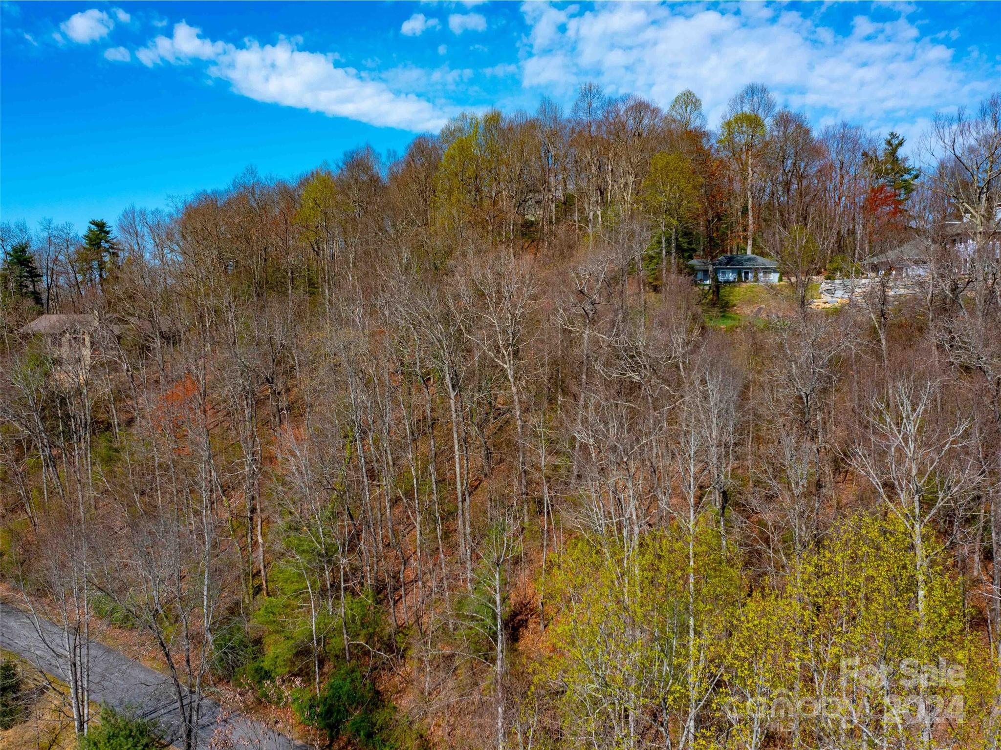 Trenholm Woods - Land