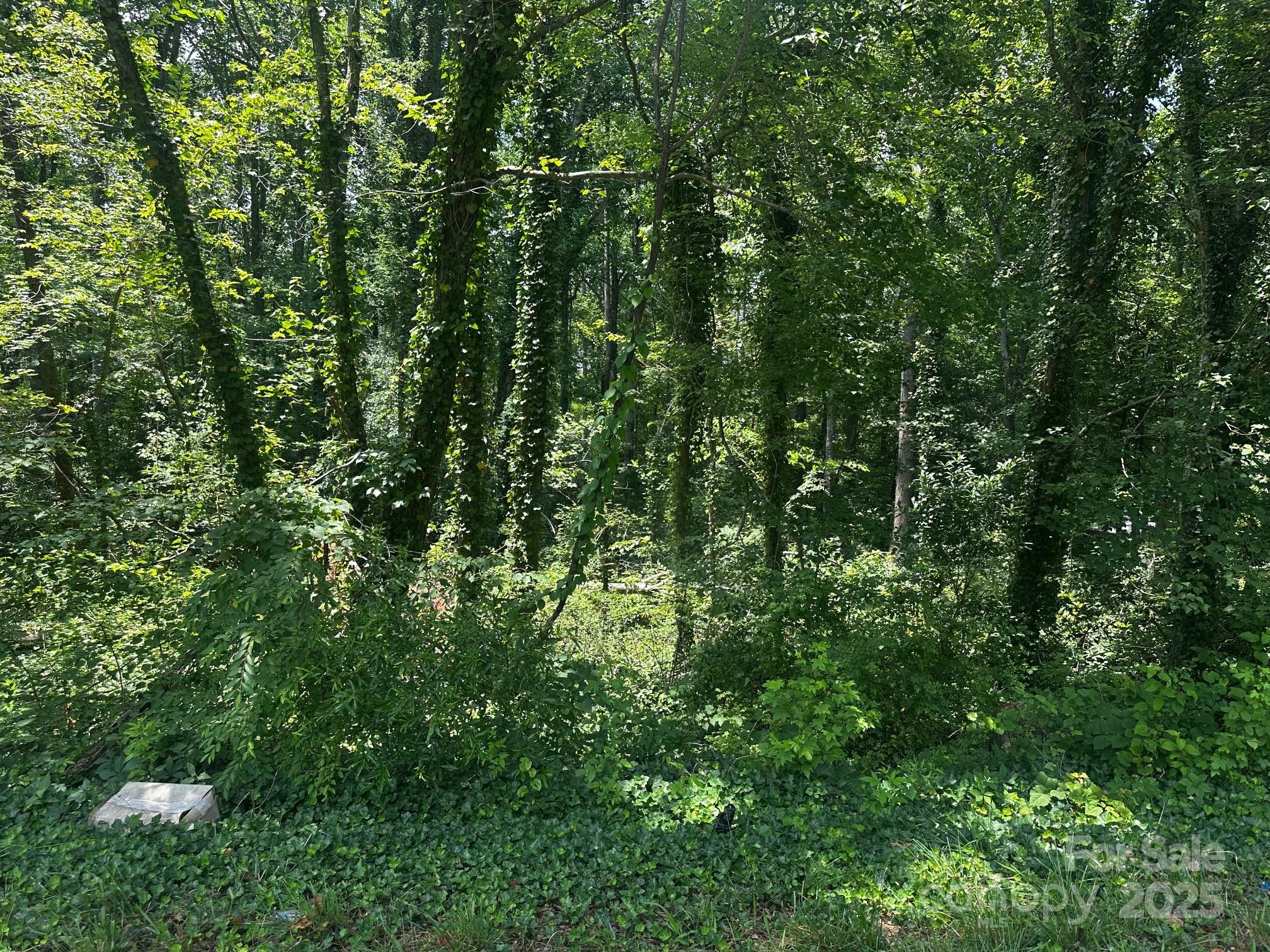 0000 Maryland Drive