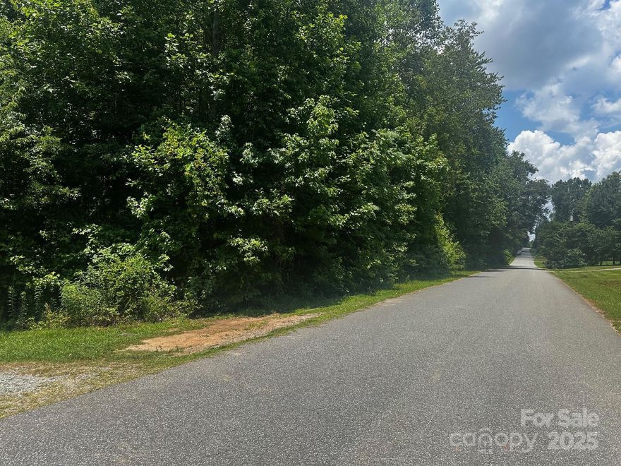 3 lots for the price of one........Lots 56,57 & 58 of Piney Ridge Estates, totaling 1.55 acres and includes city water. All for one price of $16,500! Duplexes & Single Family dwellings allowed, no manufactured homes are allowed.