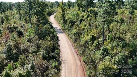 Lot 16 Farris Cato Road Pageland SC 29728