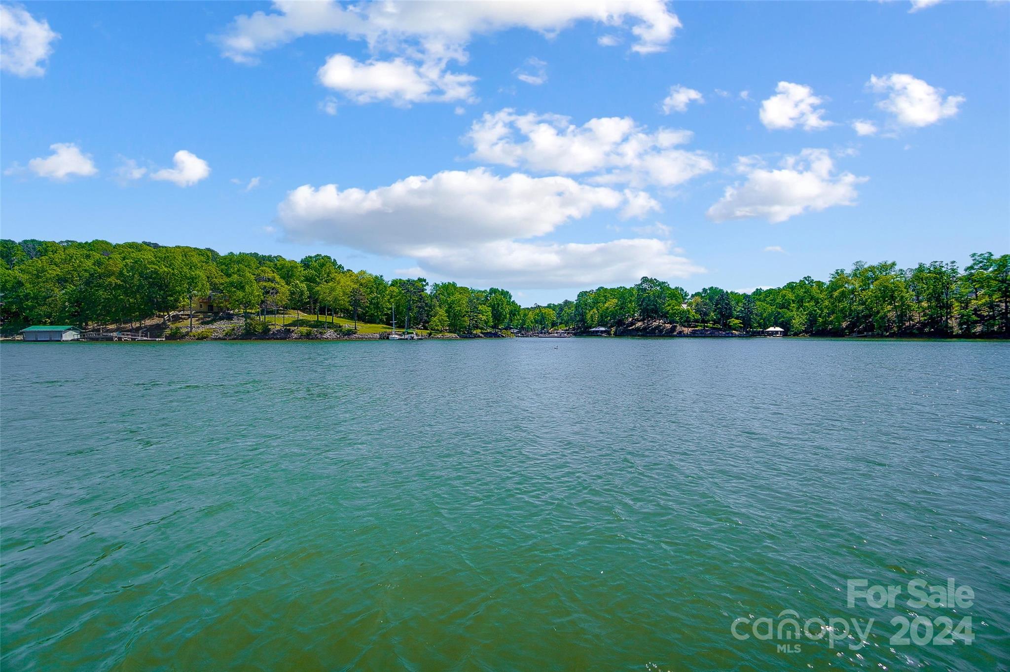 Lake Wylie - Residential