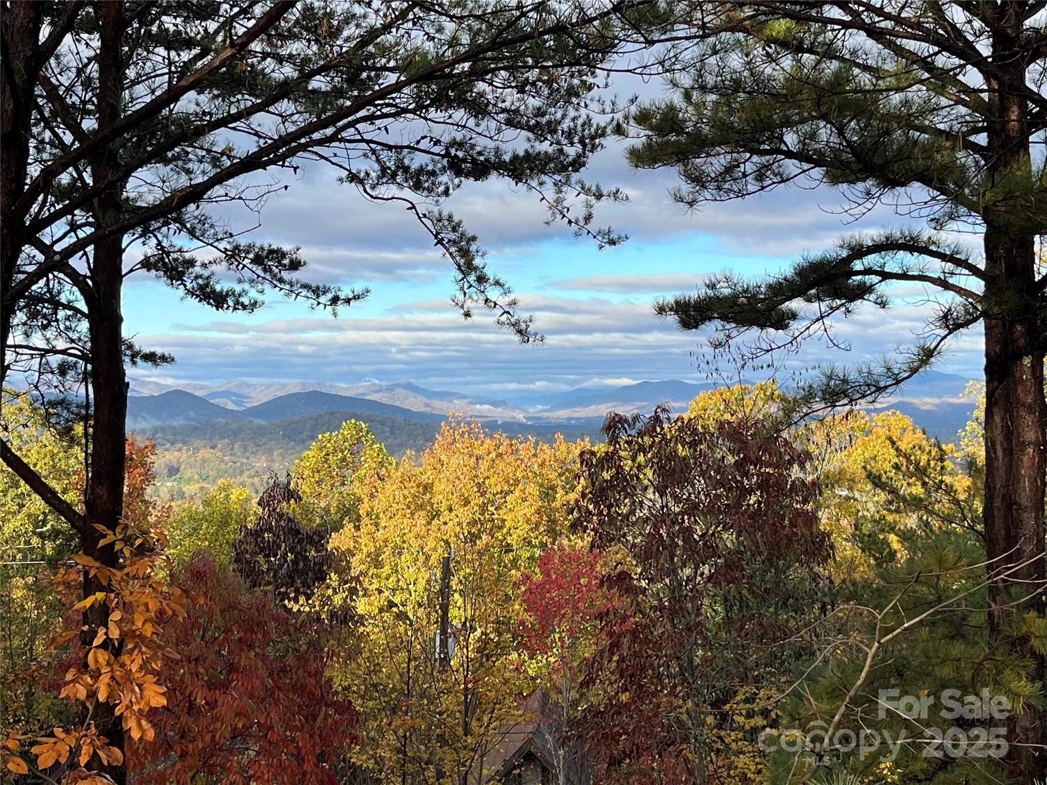 105 Avondale Heights Road