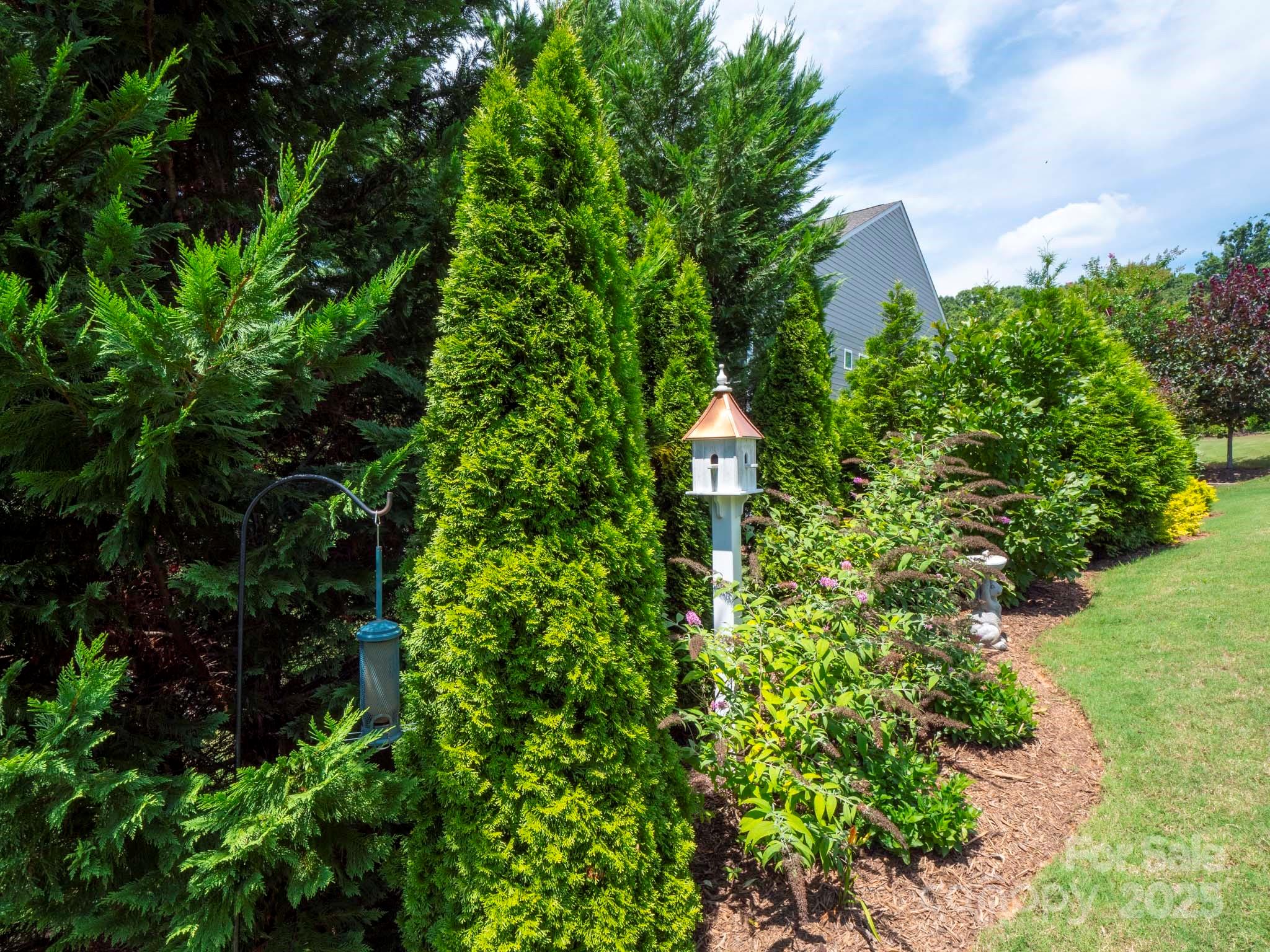 Tree Tops - Residential