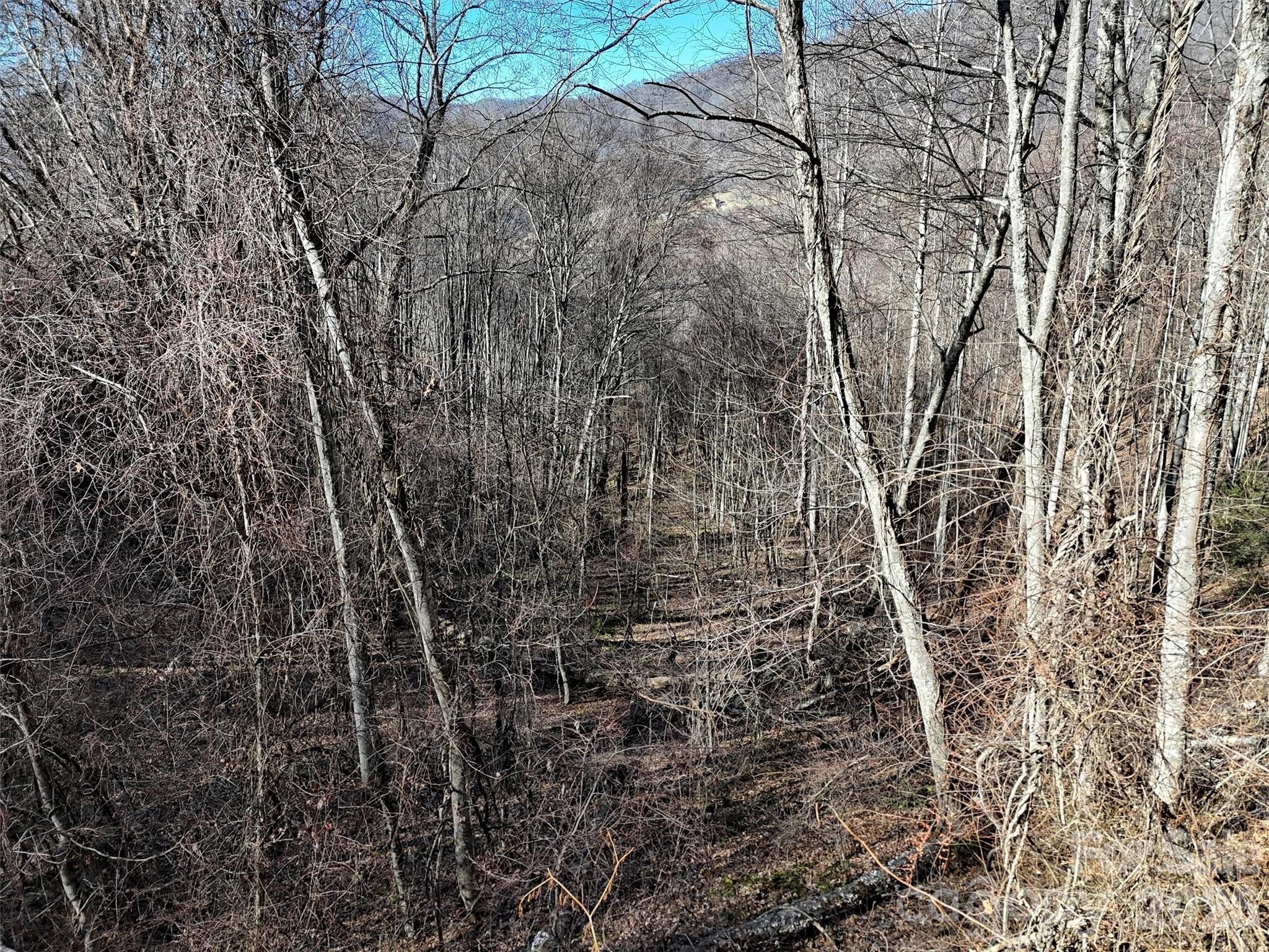 Hunters Ridge - Land