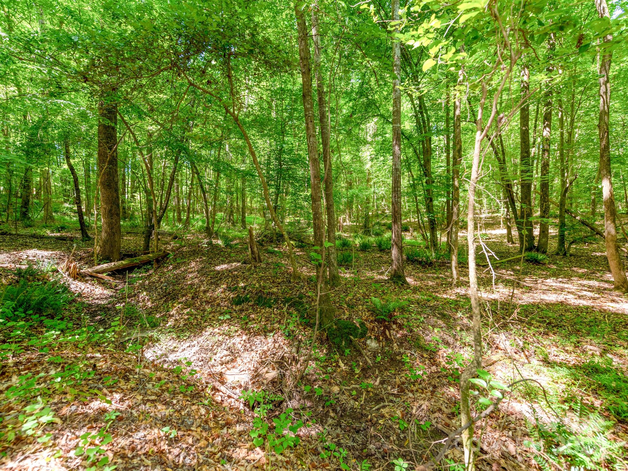 Lesslie Woods - Residential