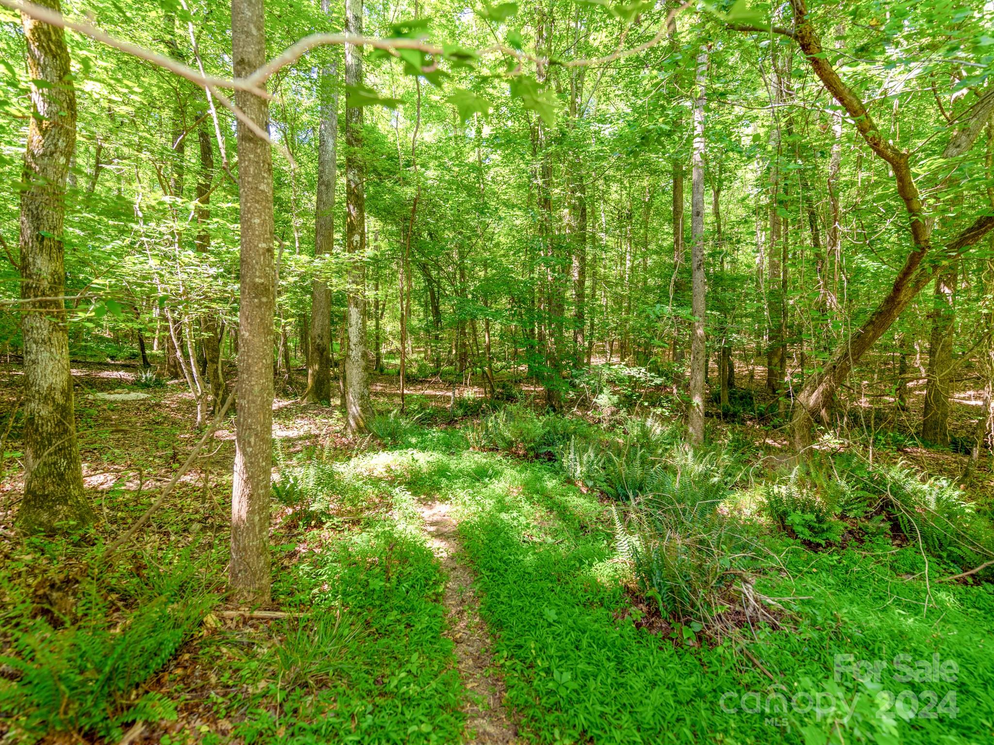 Lesslie Woods - Residential